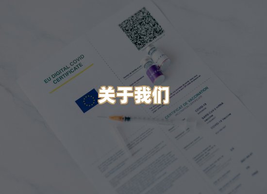 关于凯洛学历排版网